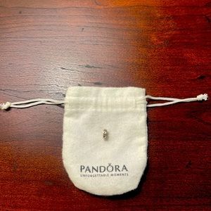 Authentic Pandora spacer charm